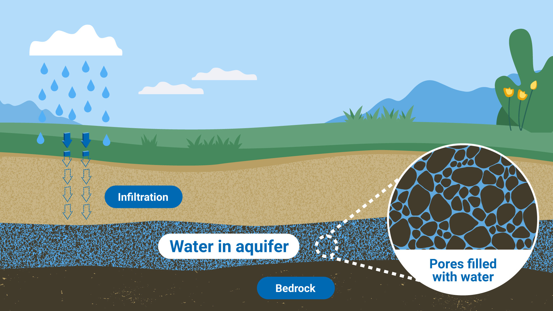 3D Groundwater Model Visualization